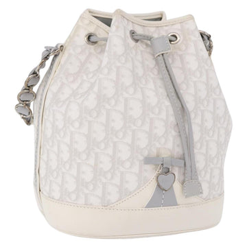 Christian Dior Trotter Romantic Chain Shoulder Bag PVC White Silver Auth 198528V