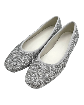 Sequin Ballet Flat